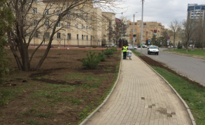 Завершаются работы по благоустройству зеленой зоны у храма Св. Владимира