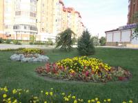 <br>Памятник Петра I