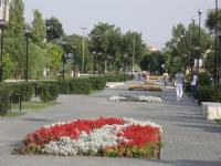 <br>Проспект губернатора Анатолия Гужвина