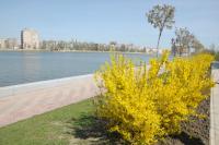<br>Набережная Приволжского Затона