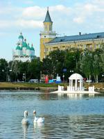 Количество голосов: 1 645</br><span style="font-weight:bold">3 место</span></br>«Лебединка»</br>Автор: Марина Черепенина