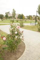 <br>Виды Астрахани