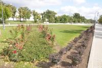 <br>Площадь им. Ленина