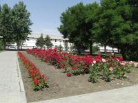 <br>Братский садик