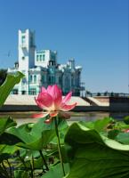 <span style="font-size:14px;">Количество голосов: 14 817 <br><span style="font-weight:bold">1 место </span></br>«Лотос» </br>Автор: Алексей Сеитов</span>