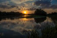 <span style="font-size:14px;">Количество голосов: 15 730 <br><span style="font-weight:bold">Гран-при </span></br>«До завтра» </br>Автор: Алена Рыжова</span>