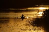 Количество голосов:123 </br>«По золотой реке»</br>Автор: Алена Рыжова</span>