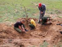 <br>АРО ООД Поисковое движение России