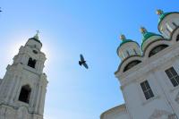 Есть только миг...<br>Количество голосов:335