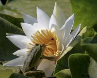 Количество голосов:163 </br>«Мгновение»</br>Автор: Евгений Скрозников</span>