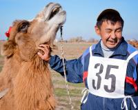 <span style="font-size:14px;">Количество голосов: 381 </br>«Верблюд человеку друг»</br>Автор: Евгения Козлова</span>