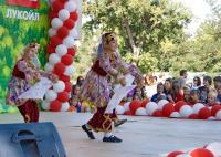 День города 2013