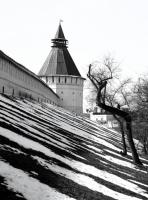 Количество голосов:  176 </br>«Астраханский март»</br>Автор: Наталия Корякина