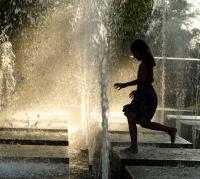 Летний день<br>Количество голосов:326