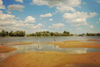 Лето<br>Количество голосов:334