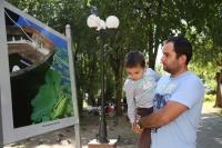 День города 2016