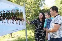 День города 2016