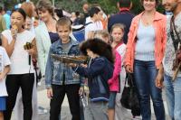 День города 2016
