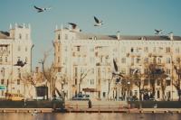  Наперегонки<br>Количество голосов:338