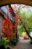 <span style="font-size:14px;">Количество голосов: 7 180 <br><span style="font-weight:bold">2 место </span></br>«Дворик на Чехова» </br>Автор: Наталья Степанова</span>