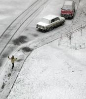 Первый Астраханский снег<br>Количество голосов:810