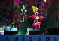 День города 2013