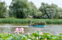 Сенокосная пора<br>Количество голосов:328