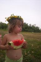  В августе<br>Количество голосов:322