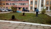 Мероприятия в рамках всероссийского экологического субботника «Зеленая весна».