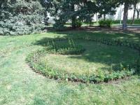 В Астрахани высадили 50 тысяч цветов