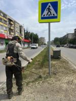 С начала года в Астрахани скосили почти 128 гектаров сорной травы