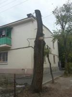 Обрезка деревьев. Скос сорной растительности. Установка детских площадок.