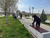 30 тонн мусора вывезли с улиц Астрахани в День чистоты