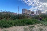 В июне в Астрахани от камыша и сорной растительности прокосили 54 га территории