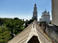 Добро пожаловать в Астрахань