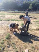 Проведены работы по благоустройству парковой зоны по ул. Яблочкова, 28