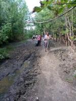 День чистоты