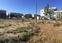 Проведены работы по благоустройству парковой зоны по ул. Яблочкова, 28