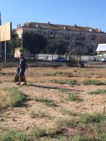 Проведены работы по благоустройству парковой зоны по ул. Яблочкова, 28