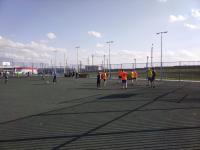 Новый сквер «Антикормаш» стал зеленее