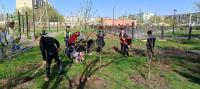 Более трех тысяч астраханцев приняли участие во Всероссийском субботнике