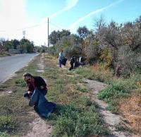 В Астрахани зачистили берег ерика Коньга