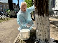 Астрахань присоединилась к Всероссийскому субботнику