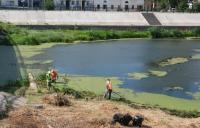 Акваторию «Стрелки» зачищают от водорослей, площадь Ленина – от сорняков