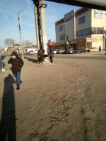 День чистоты