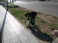 23.04.2016 силами сотрудников администрации Ленинского района и структурных подразделений администрации муниципального образования «Город Астрахань» проведен общероссийский субботник