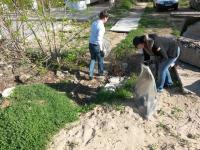 23.04.2016 силами сотрудников администрации Ленинского района и структурных подразделений администрации муниципального образования «Город Астрахань» проведен общероссийский субботник