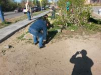 23.04.2016 силами сотрудников администрации Ленинского района и структурных подразделений администрации муниципального образования «Город Астрахань» проведен общероссийский субботник