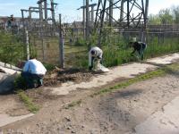 23.04.2016 силами сотрудников администрации Ленинского района и структурных подразделений администрации муниципального образования «Город Астрахань» проведен общероссийский субботник