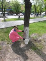 Общегородской субботник 29.04.2016 